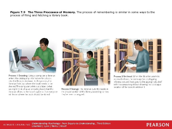 Figure 7. 9 The Three Processes of Memory. The process of remembering is similar