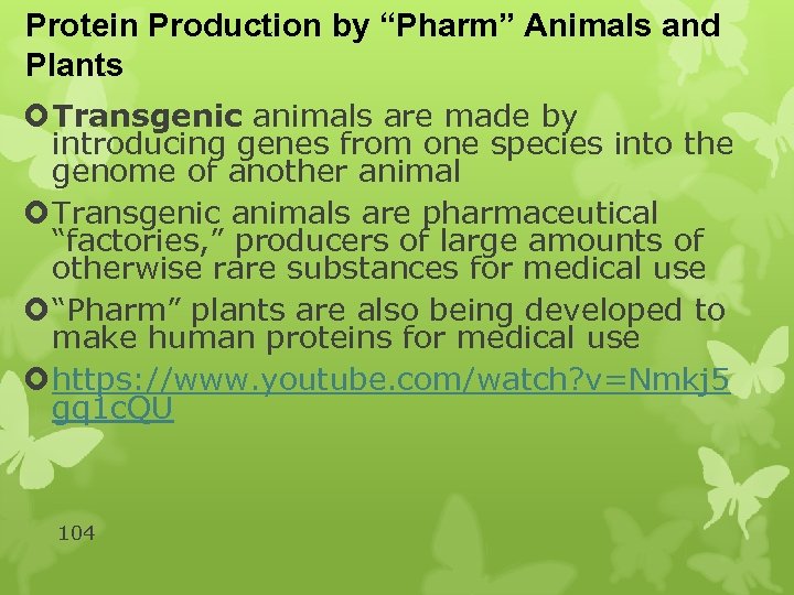 Protein Production by “Pharm” Animals and Plants Transgenic animals are made by introducing genes