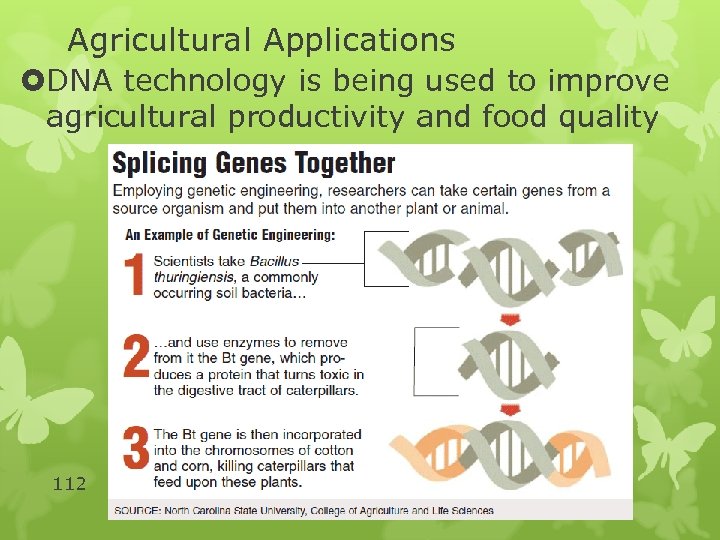 Agricultural Applications DNA technology is being used to improve agricultural productivity and food quality