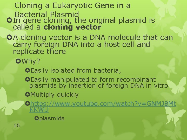Cloning a Eukaryotic Gene in a Bacterial Plasmid In gene cloning, the original plasmid