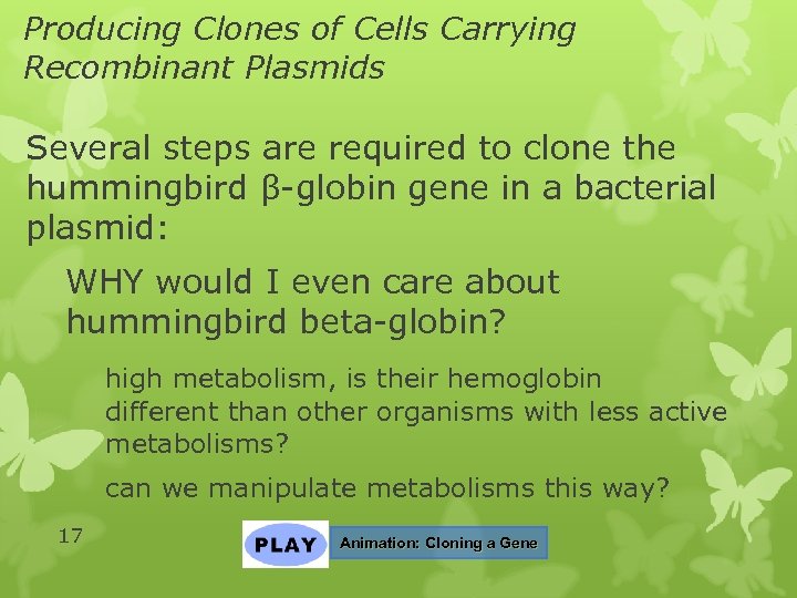 Producing Clones of Cells Carrying Recombinant Plasmids Several steps are required to clone the