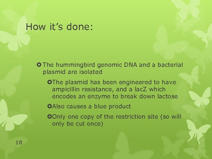 How it’s done: The hummingbird genomic DNA and a bacterial plasmid are isolated The