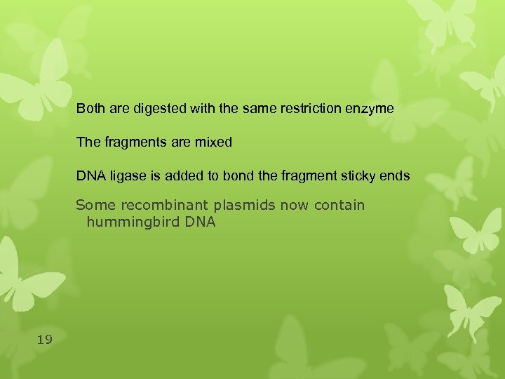 Both are digested with the same restriction enzyme The fragments are mixed DNA ligase