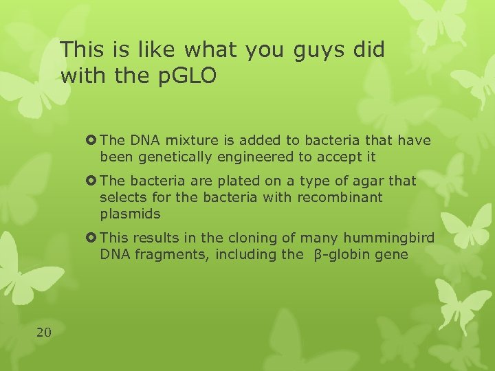 This is like what you guys did with the p. GLO The DNA mixture