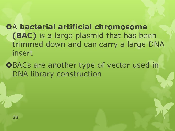  A bacterial artificial chromosome (BAC) is a large plasmid that has been trimmed