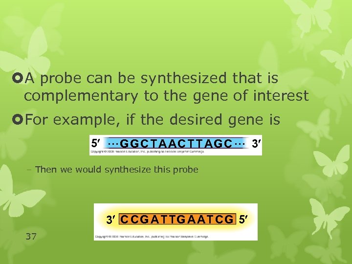  A probe can be synthesized that is complementary to the gene of interest
