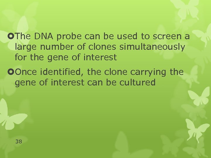  The DNA probe can be used to screen a large number of clones