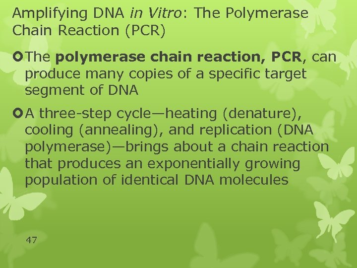 Amplifying DNA in Vitro: The Polymerase Chain Reaction (PCR) The polymerase chain reaction, PCR,