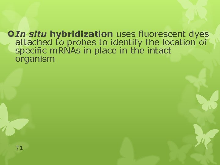  In situ hybridization uses fluorescent dyes attached to probes to identify the location