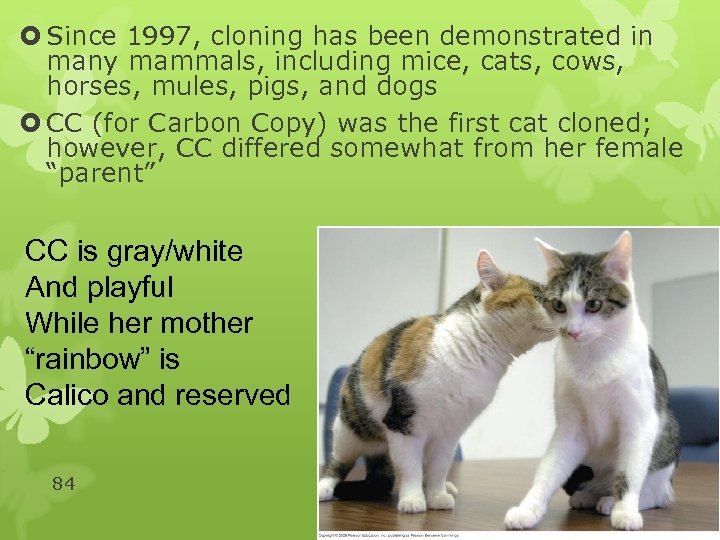  Since 1997, cloning has been demonstrated in many mammals, including mice, cats, cows,