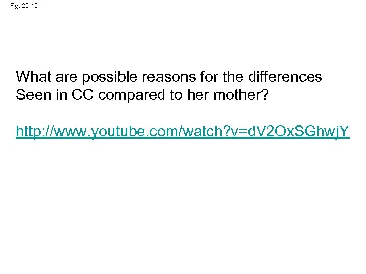 Fig. 20 -19 What are possible reasons for the differences Seen in CC compared