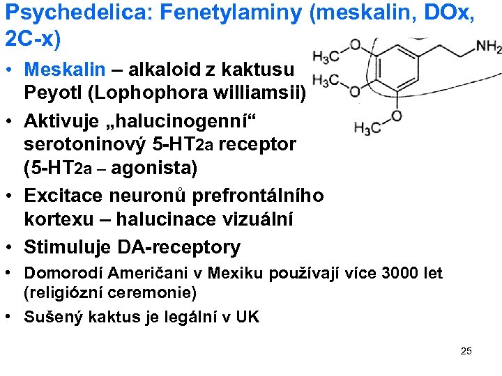 Psychedelica: Fenetylaminy (meskalin, DOx, 2 C-x) • Meskalin – alkaloid z kaktusu Peyotl (Lophophora