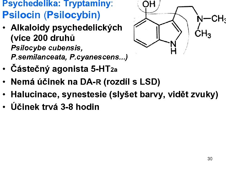 Psychedelika: Tryptaminy: Psilocin (Psilocybin) • Alkaloidy psychedelických (více 200 druhů hub lysohlávek– Psilocybe cubensis,