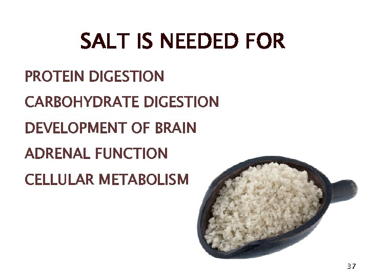 SALT IS NEEDED FOR PROTEIN DIGESTION CARBOHYDRATE DIGESTION DEVELOPMENT OF BRAIN ADRENAL FUNCTION CELLULAR