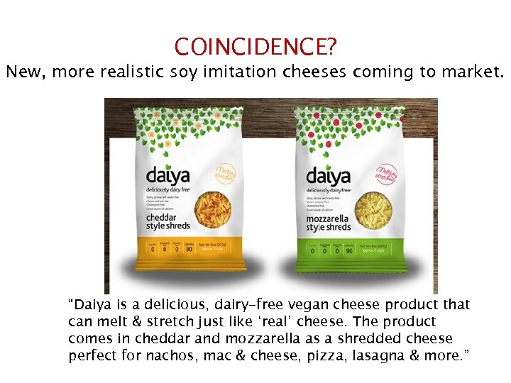 COINCIDENCE? New, more realistic soy imitation cheeses coming to market. “Daiya is a delicious,