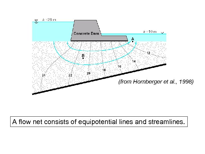 (from Hornberger et al. , 1998) A flow net consists of equipotential lines and