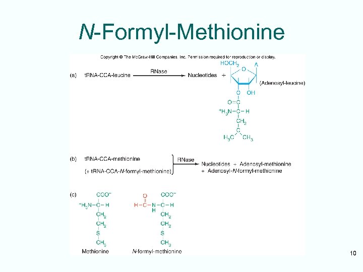 N-Formyl-Methionine 10 