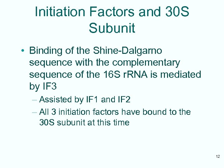 Initiation Factors and 30 S Subunit • Binding of the Shine-Dalgarno sequence with the