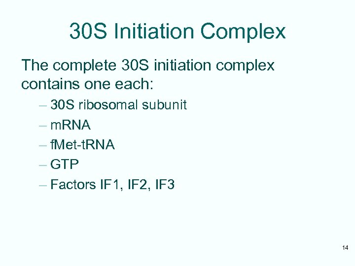 30 S Initiation Complex The complete 30 S initiation complex contains one each: –