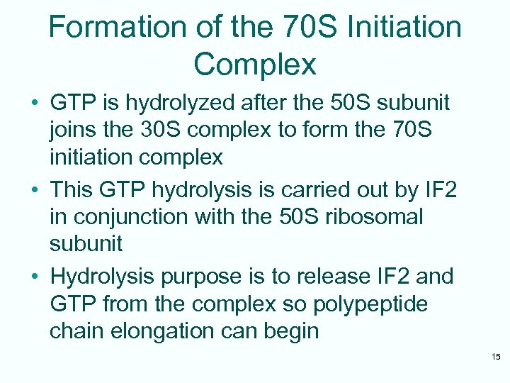 Formation of the 70 S Initiation Complex • GTP is hydrolyzed after the 50