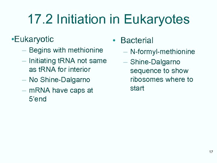 17. 2 Initiation in Eukaryotes • Eukaryotic – Begins with methionine – Initiating t.