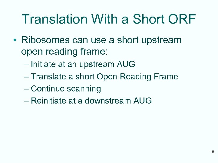 Translation With a Short ORF • Ribosomes can use a short upstream open reading