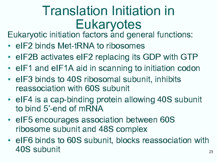 Translation Initiation in Eukaryotes Eukaryotic initiation factors and general functions: • e. IF 2