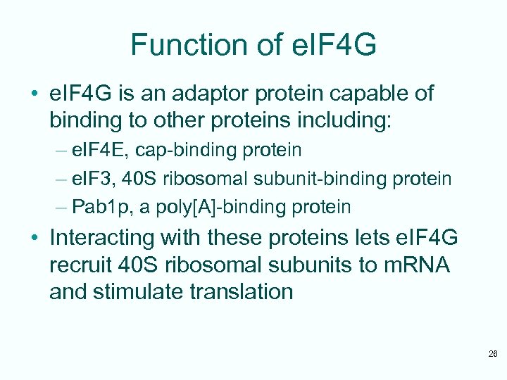 Function of e. IF 4 G • e. IF 4 G is an adaptor