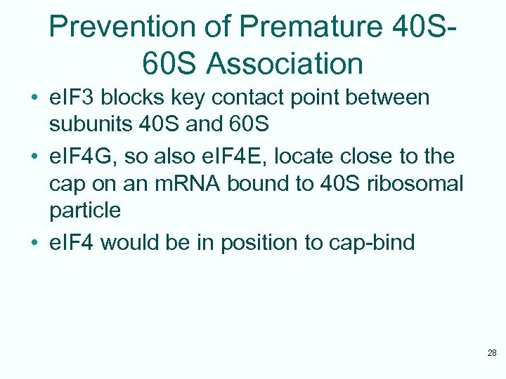 Prevention of Premature 40 S 60 S Association • e. IF 3 blocks key