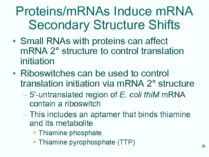 Proteins/m. RNAs Induce m. RNA Secondary Structure Shifts • Small RNAs with proteins can