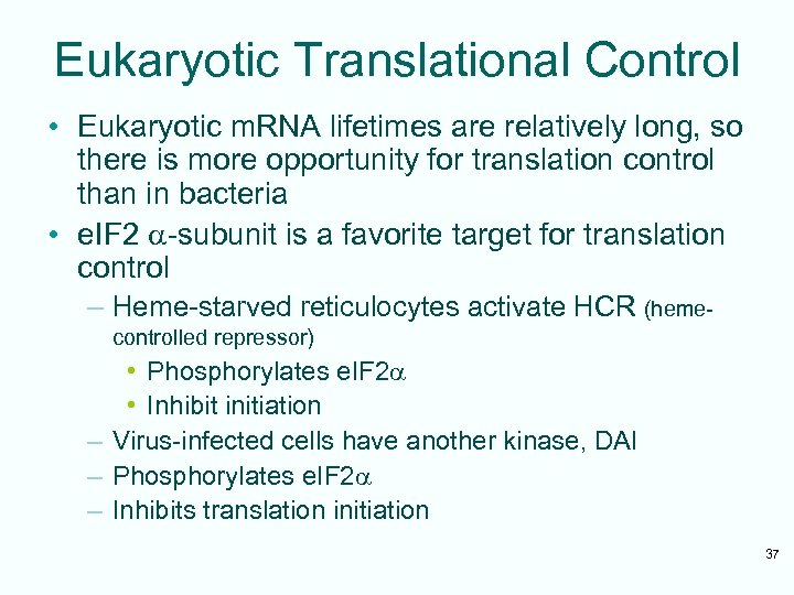 Eukaryotic Translational Control • Eukaryotic m. RNA lifetimes are relatively long, so there is