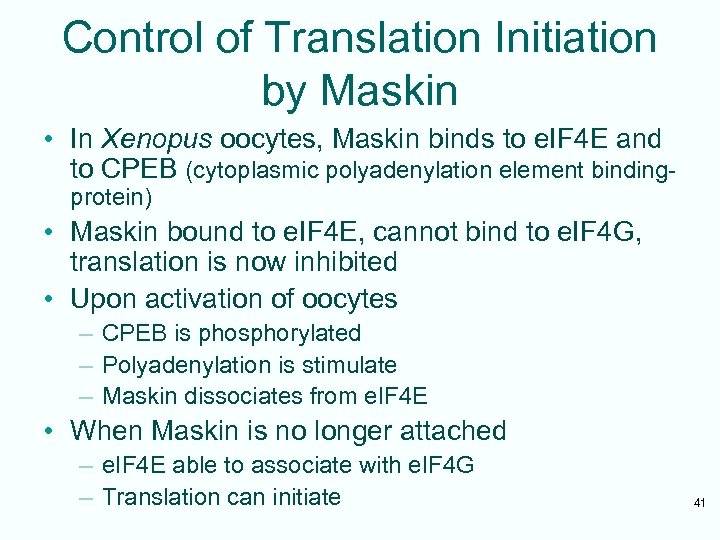 Control of Translation Initiation by Maskin • In Xenopus oocytes, Maskin binds to e.