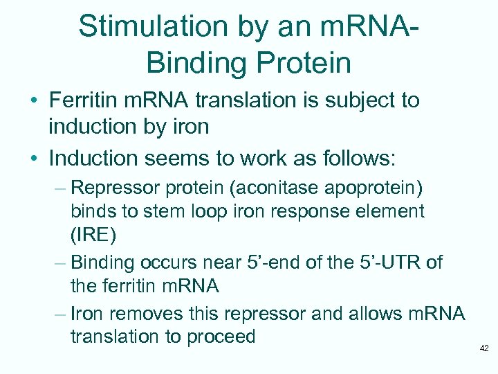 Stimulation by an m. RNABinding Protein • Ferritin m. RNA translation is subject to