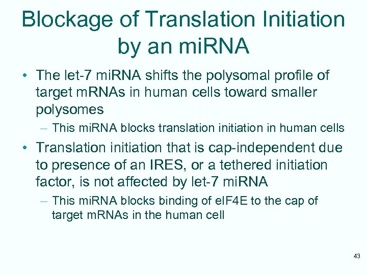 Blockage of Translation Initiation by an mi. RNA • The let-7 mi. RNA shifts