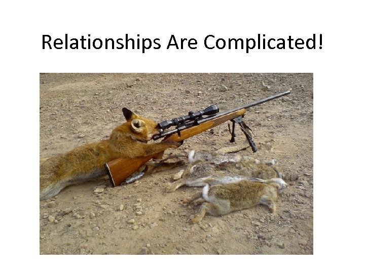 Relationships Are Complicated! 
