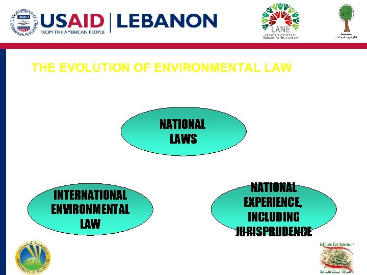 THE EVOLUTION OF ENVIRONMENTAL LAW NATIONAL LAWS INTERNATIONAL ENVIRONMENTAL LAW NATIONAL EXPERIENCE, INCLUDING JURISPRUDENCE