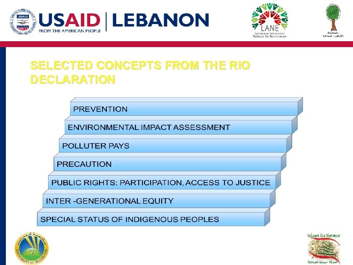 SELECTED CONCEPTS FROM THE RIO DECLARATION 