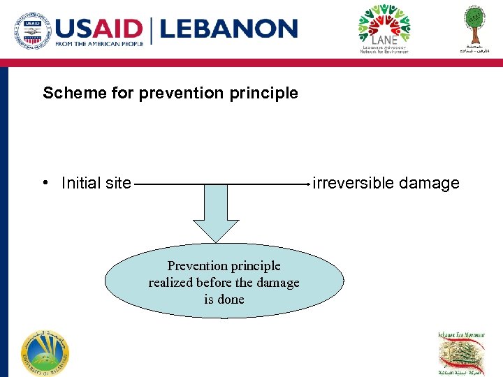 Scheme for prevention principle • Initial site irreversible damage Prevention principle realized before the