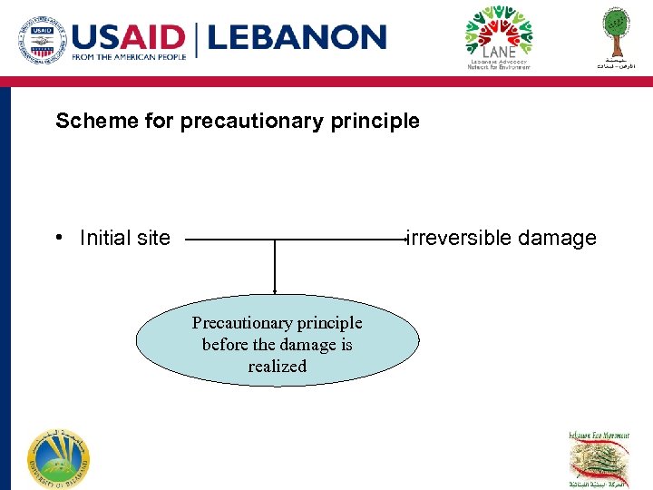 Scheme for precautionary principle • Initial site irreversible damage Precautionary principle before the damage