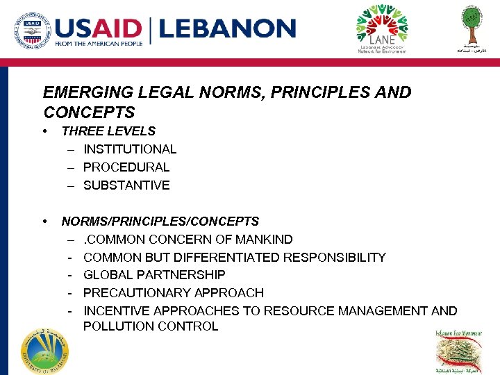 EMERGING LEGAL NORMS, PRINCIPLES AND CONCEPTS • THREE LEVELS – INSTITUTIONAL – PROCEDURAL –