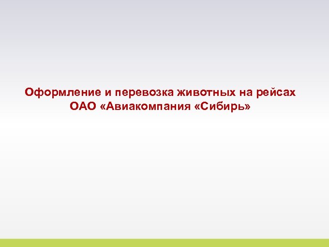 Оформление и перевозка животных на рейсах ОАО «Авиакомпания «Сибирь» 17 