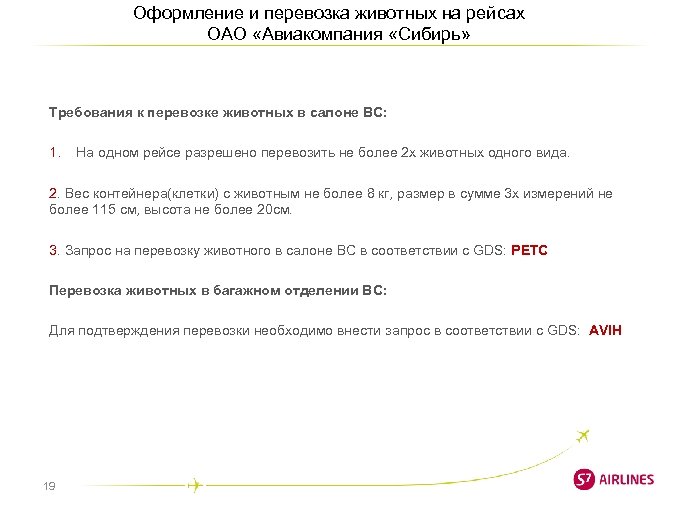 Оформление и перевозка животных на рейсах ОАО «Авиакомпания «Сибирь» Требования к перевозке животных в