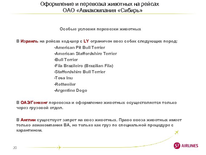 Оформление и перевозка животных на рейсах ОАО «Авиакомпания «Сибирь» Особые условия перевозки животных В