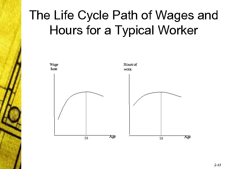 The Life Cycle Path of Wages and Hours for a Typical Worker Wage Rate