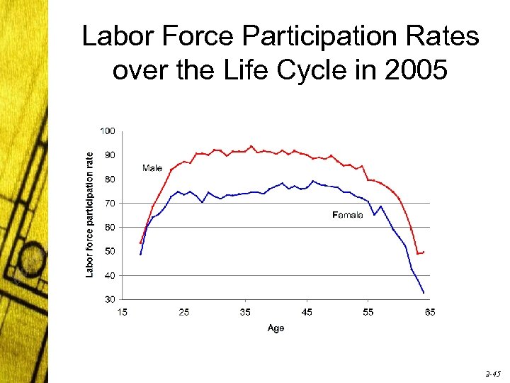 Labor Force Participation Rates over the Life Cycle in 2005 2 -45 