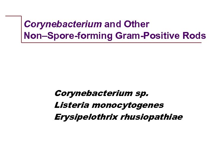 Corynebacterium and Other Non–Spore-forming Gram-Positive Rods Corynebacterium sp. Listeria monocytogenes Erysipelothrix rhusiopathiae 