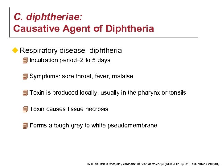 C. diphtheriae: Causative Agent of Diphtheria u Respiratory disease–diphtheria 4 Incubation period– 2 to