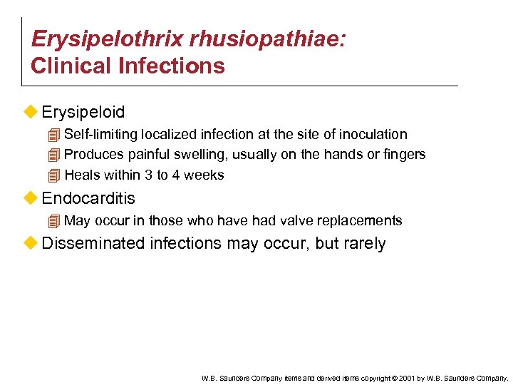 Erysipelothrix rhusiopathiae: Clinical Infections u Erysipeloid 4 Self-limiting localized infection at the site of