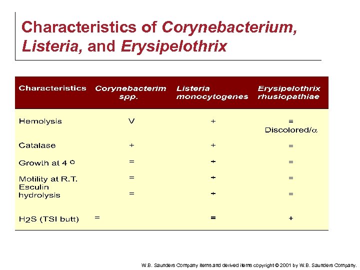 Characteristics of Corynebacterium, Listeria, and Erysipelothrix W. B. Saunders Company items and derived items