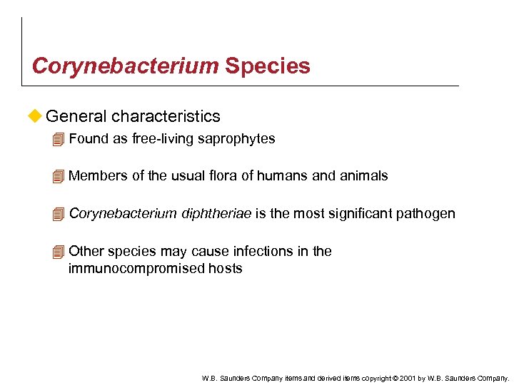 Corynebacterium Species u General characteristics 4 Found as free-living saprophytes 4 Members of the